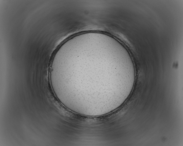 X0000091861220200710031654