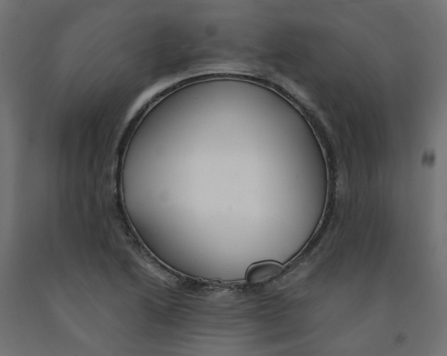 X0000091861222200710031654