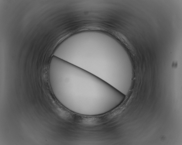 X0000091861225200710031655