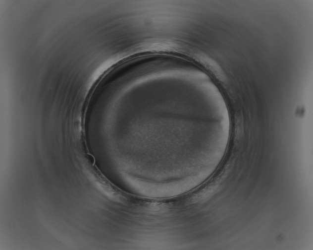 X0000091861226200710031655