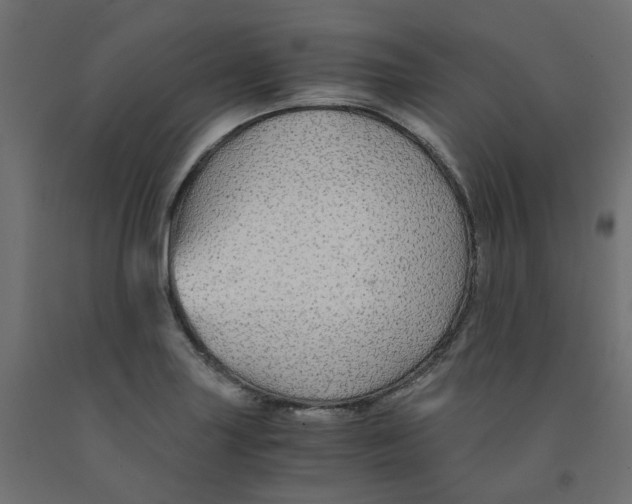 X0000091861227200710031655