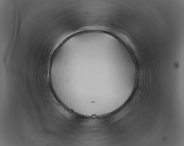 X0000091861228200710031655