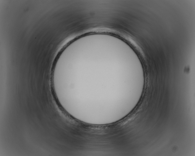 X0000091861229200710031655