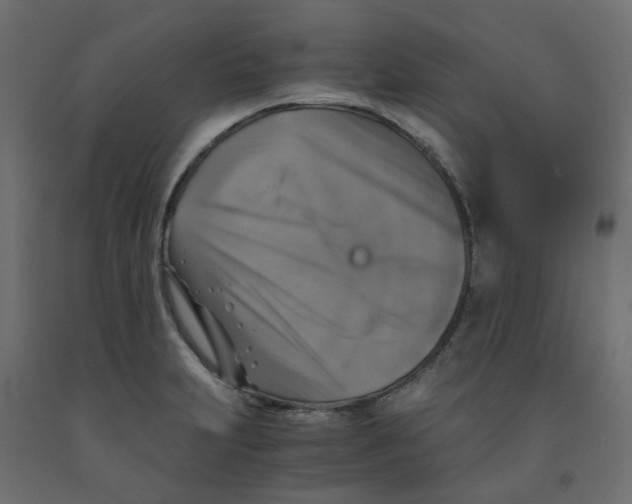 X0000091861231200710031655