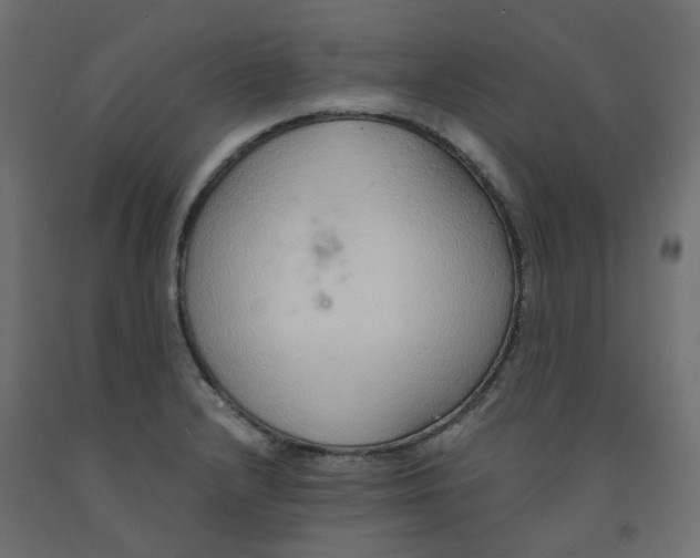 X0000091861232200710031655