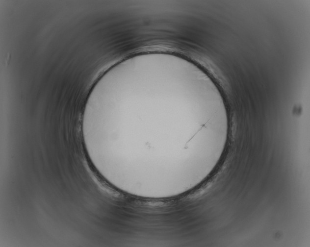 X0000091861233200710031655