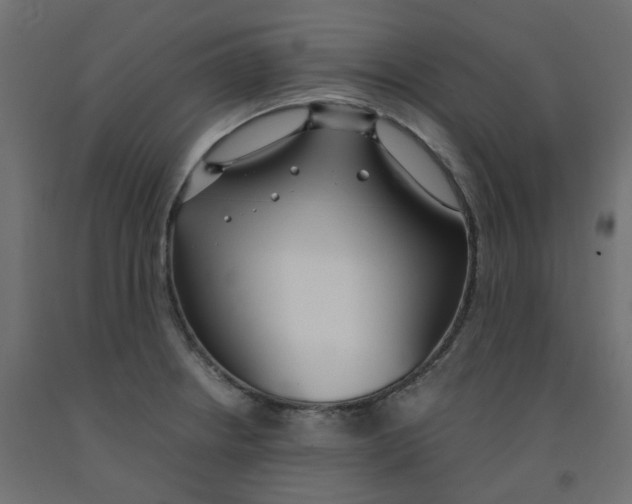 X0000091861234200710031655