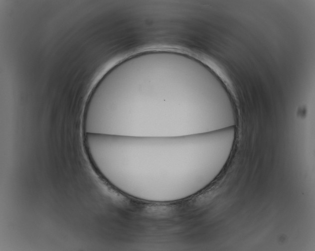 X0000091861237200710031655