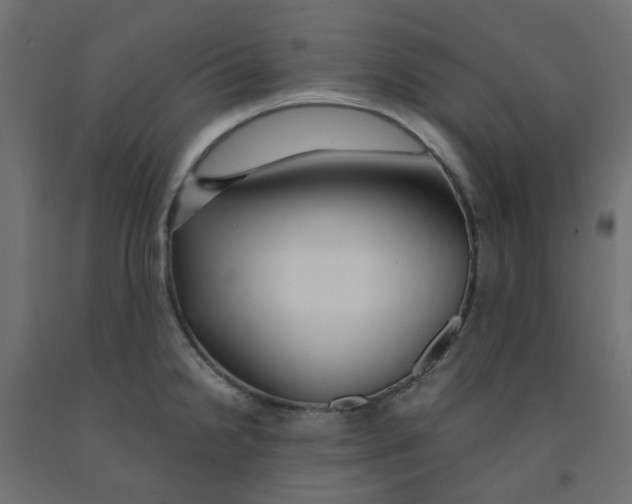 X0000091861238200710031655