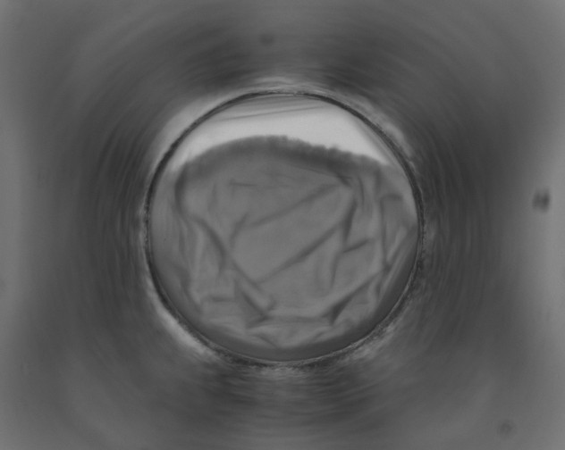 X0000091861239200710031655