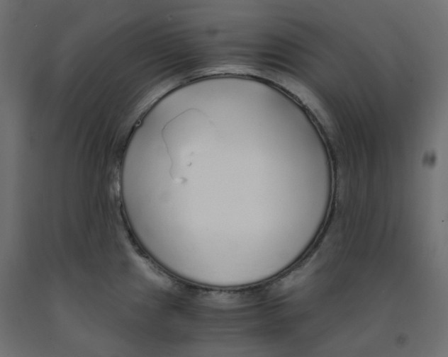 X0000091861241200710031655