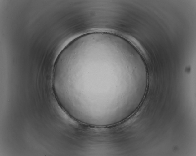 X0000091861244200710031655