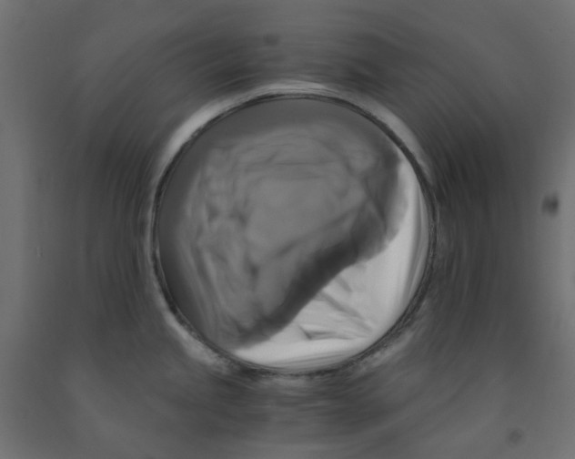 X0000091861245200710031655