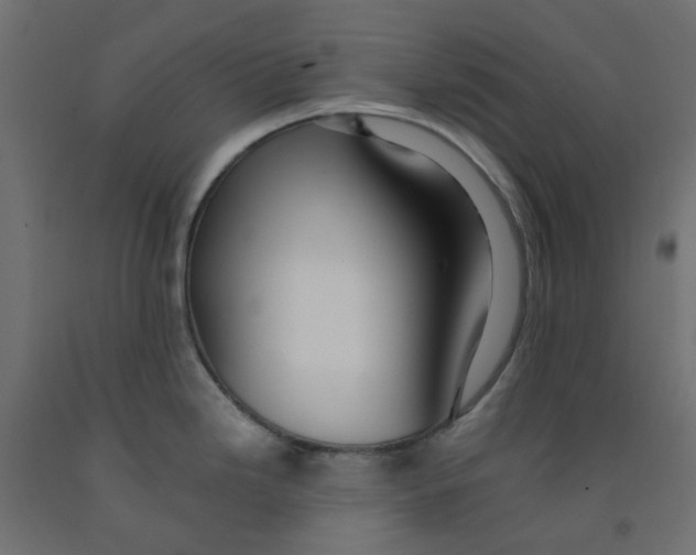 X0000091861246200710031655