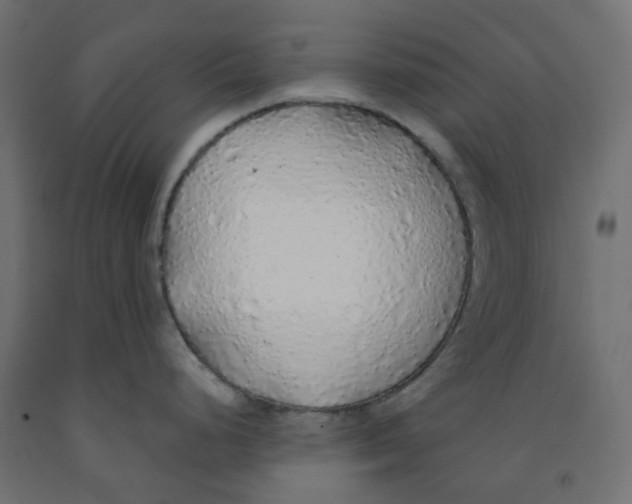 X0000091861248200710031655