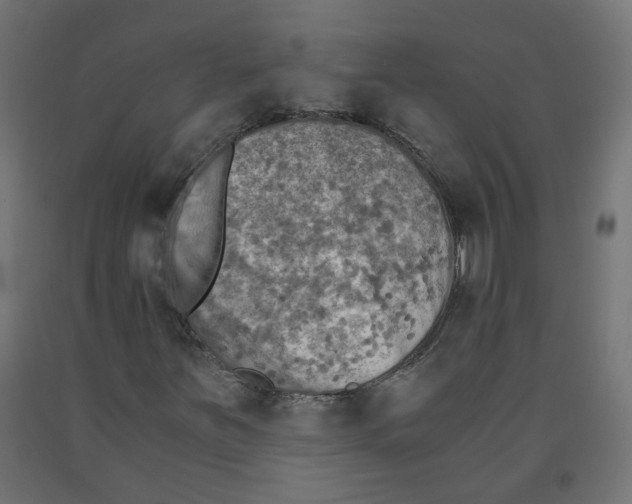 X0000091861251200710031654