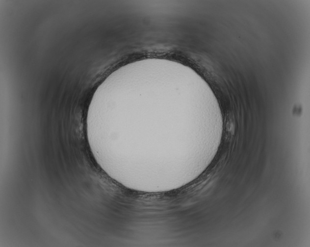 X0000091861252200710031654