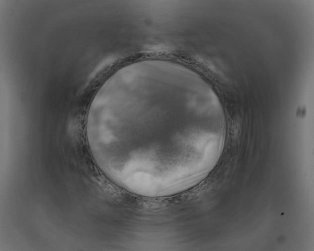 X0000091861254200710031654