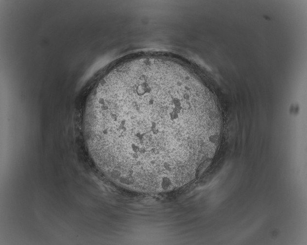 X0000091861255200710031654