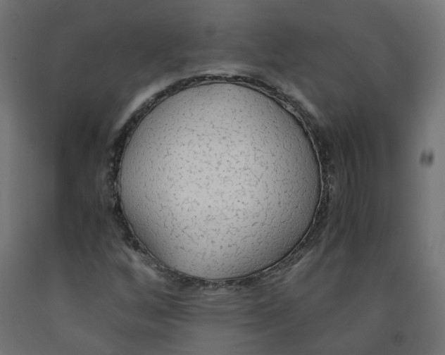 X0000091861256200710031654