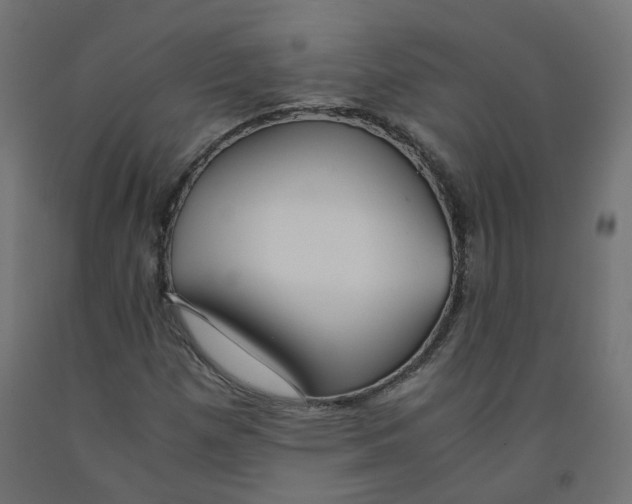 X0000091861257200710031654