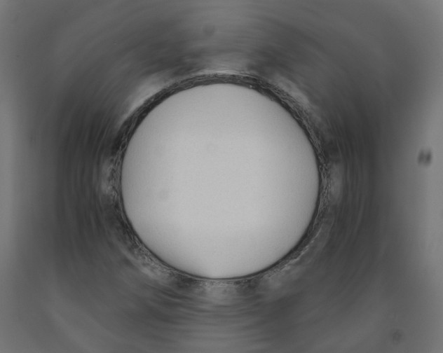 X0000091861258200710031654