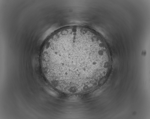 X0000091861259200710031654