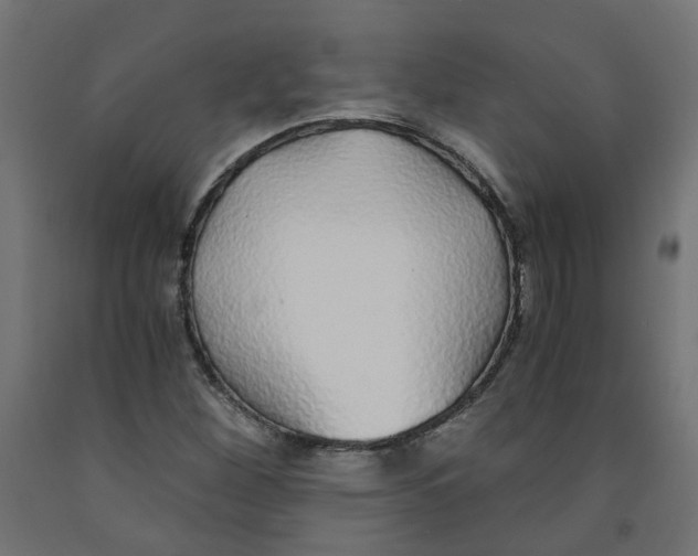 X0000091861260200710031654