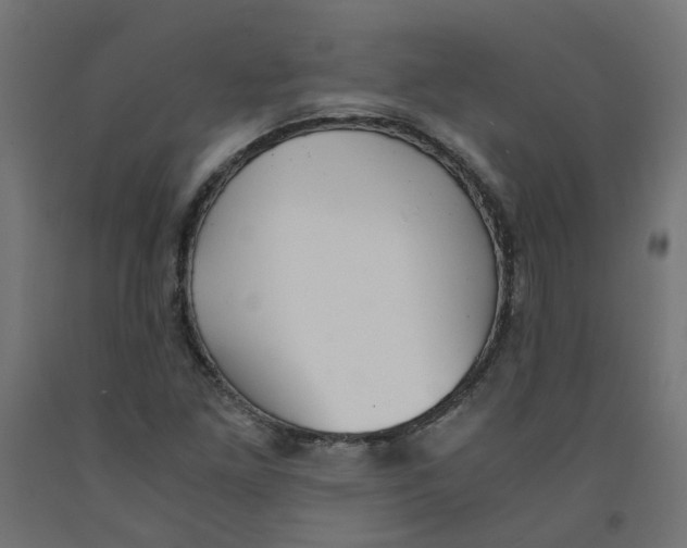 X0000091861261200710031654