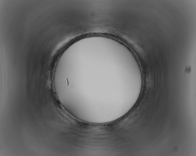 X0000091861262200710031654