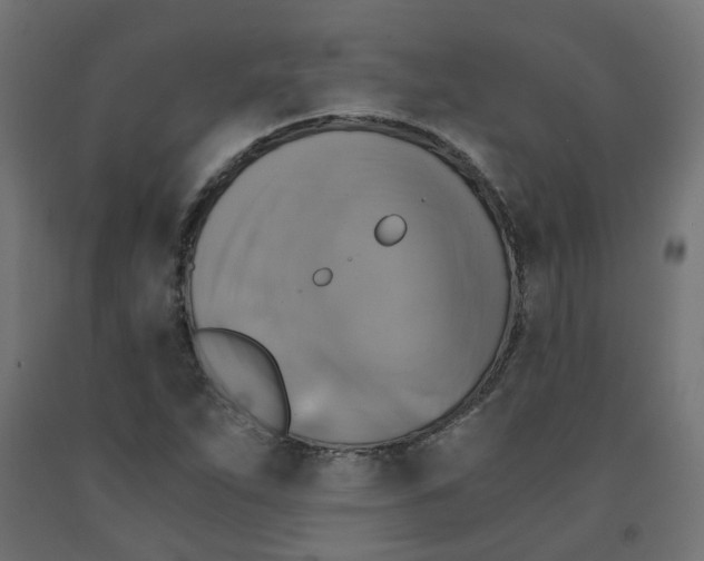 X0000091861263200710031654