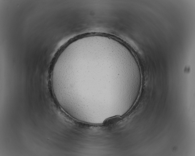 X0000091861264200710031654