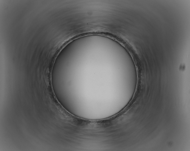 X0000091861265200710031654