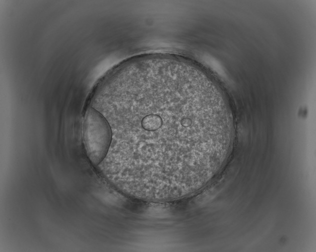 X0000091861267200710031654