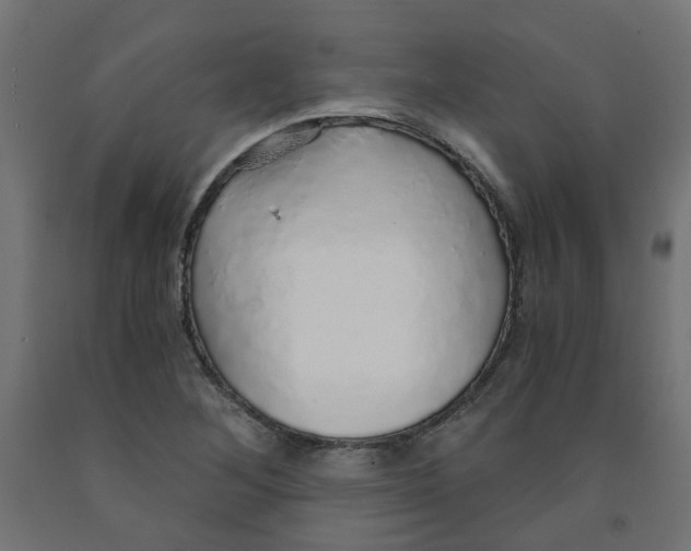 X0000091861268200710031654