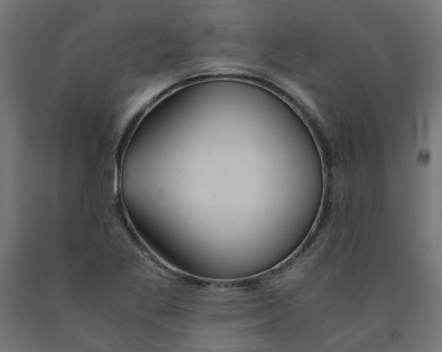 X0000091861269200710031654