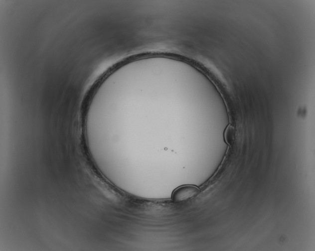 X0000091861270200710031654