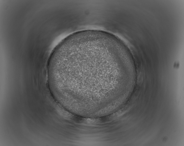 X0000091861271200710031654