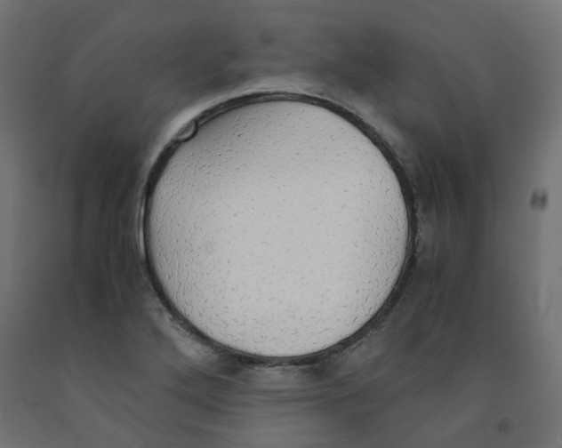 X0000091861272200710031654