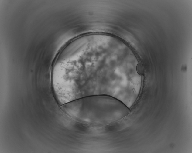 X0000091861275200710031654