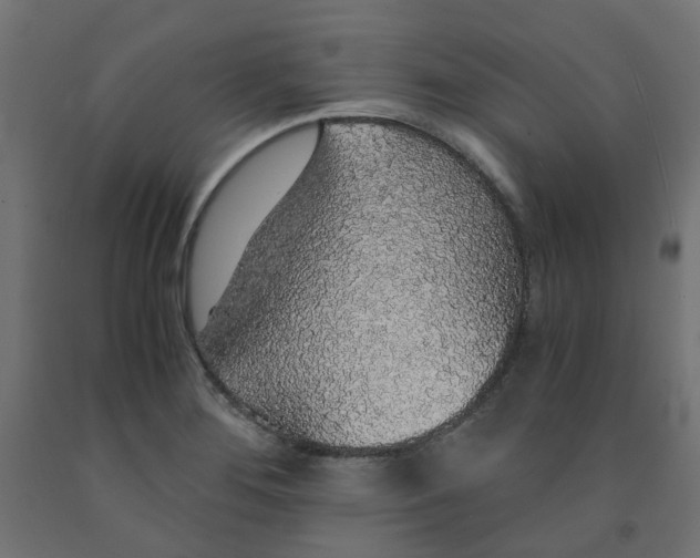 X0000091861276200710031654