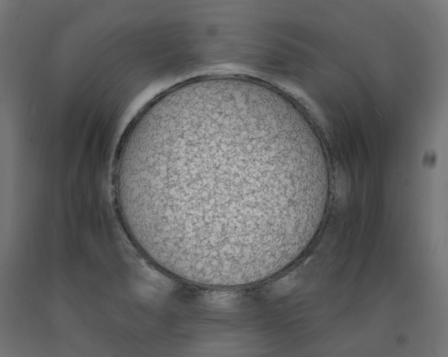 X0000091861278200710031654