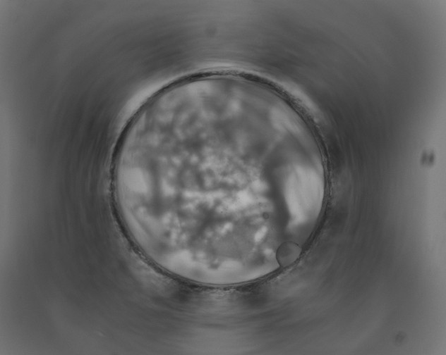 X0000091861279200710031654