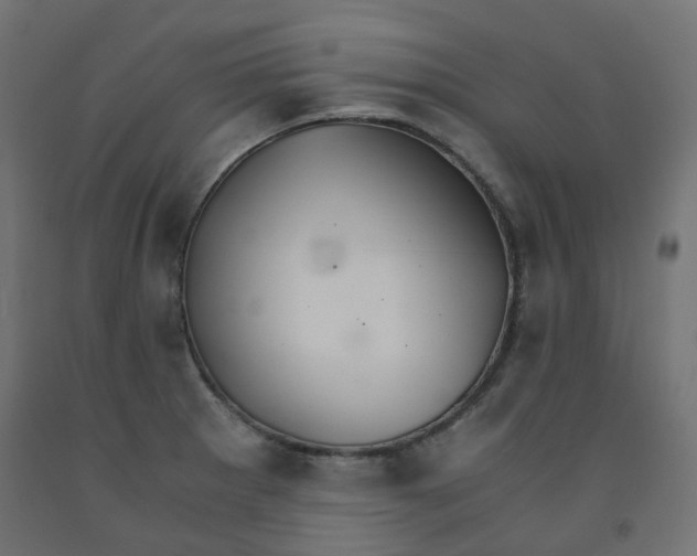 X0000091861281200710031654