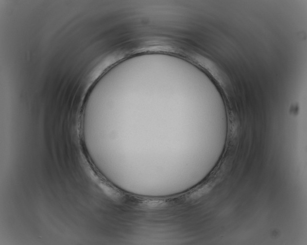 X0000091861282200710031654