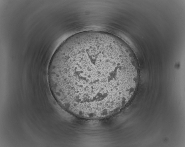 X0000091861283200710031654