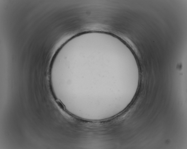 X0000091861285200710031654