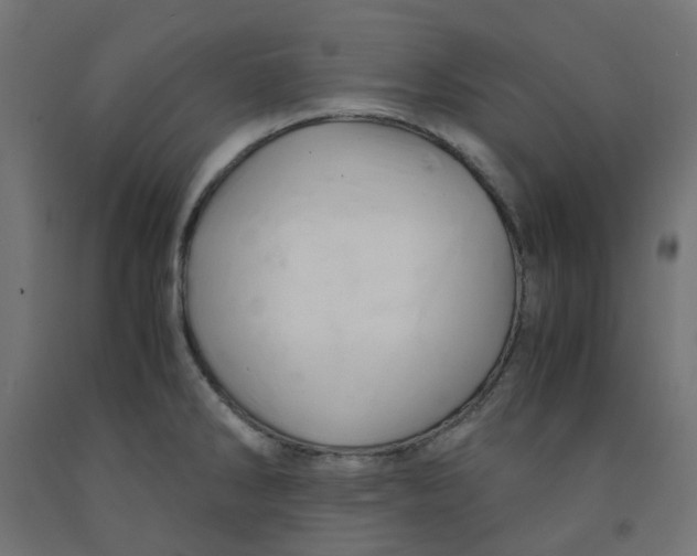 X0000091861286200710031654