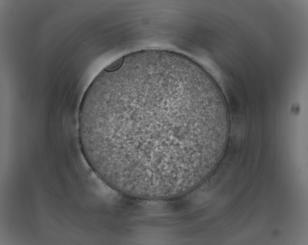 X0000091861287200710031654