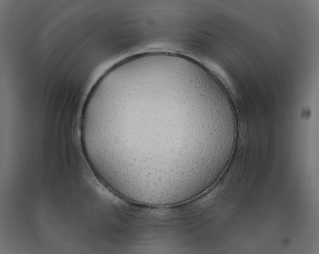 X0000091861288200710031654